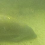 DSCN0335