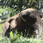 periple59jours-j33-04