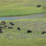 periple59jours-j33-19