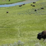 periple59jours-j33-20