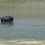 periple59jours-j33-21