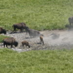 periple59jours-j33-22