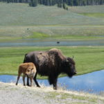 periple59jours-j33-23