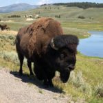 periple59jours-j33-24