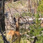 periple59jours-j33-35