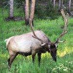 periple59jours-j33-36