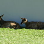 periple59jours-j34-10