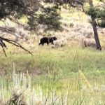 periple59jours-j34-19