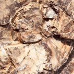 periple59jours-j34-32