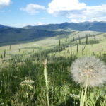 periple59jours-j34-33