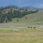 periple59jours-j34-35