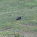 periple59jours-j34-36