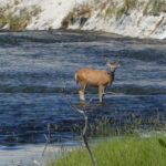 periple59jours-j35-30