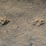 periple59jours-j40-10