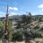 periple59jours-j40-11