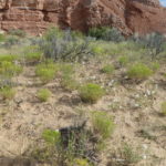 periple59jours-j41-02-P1280955