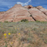 periple59jours-j41-21-P1290020