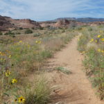 periple59jours-j41-22-P1290021