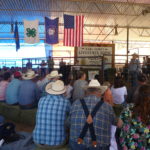 periple59jours-j42-09