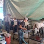 periple59jours-j42-10