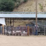 periple59jours-j42-11