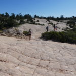 periple59jours-j43-11-P1290218