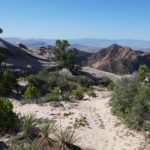 periple59jours-j43-31-P1290261