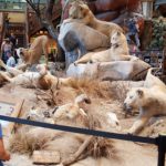 periple59jours-j49-45