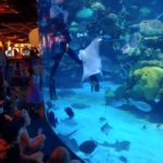 periple59jours-j49-48