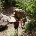 periple59jours-j50-11