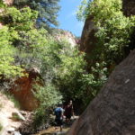 periple59jours-j50-15