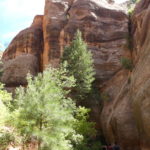 periple59jours-j50-16