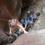 periple59jours-j50-24