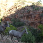 periple59jours-j50-47