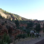 periple59jours-j50-49