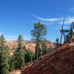 periple59jours-j51-006