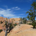 periple59jours-j51-012