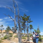 periple59jours-j51-013