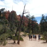 periple59jours-j51-083