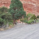 periple59jours-j51-124