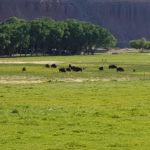 periple59jours-j52-03