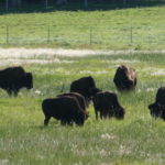 periple59jours-j52-04