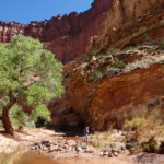 periple59jours-j52-13