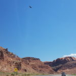 periple59jours-j53-13