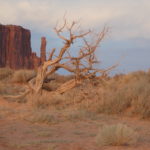 periple59jours-j54-113