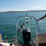 periple59jours-j56-45