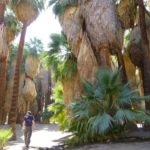 041-albumfev2014-P1010574