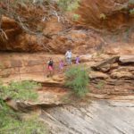 053-album2013-P1010206