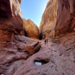 voyage-usa-2022-153