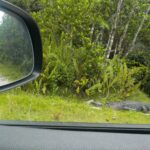 podcast-09-Location-de-Voiture-02